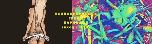 винт Богданович